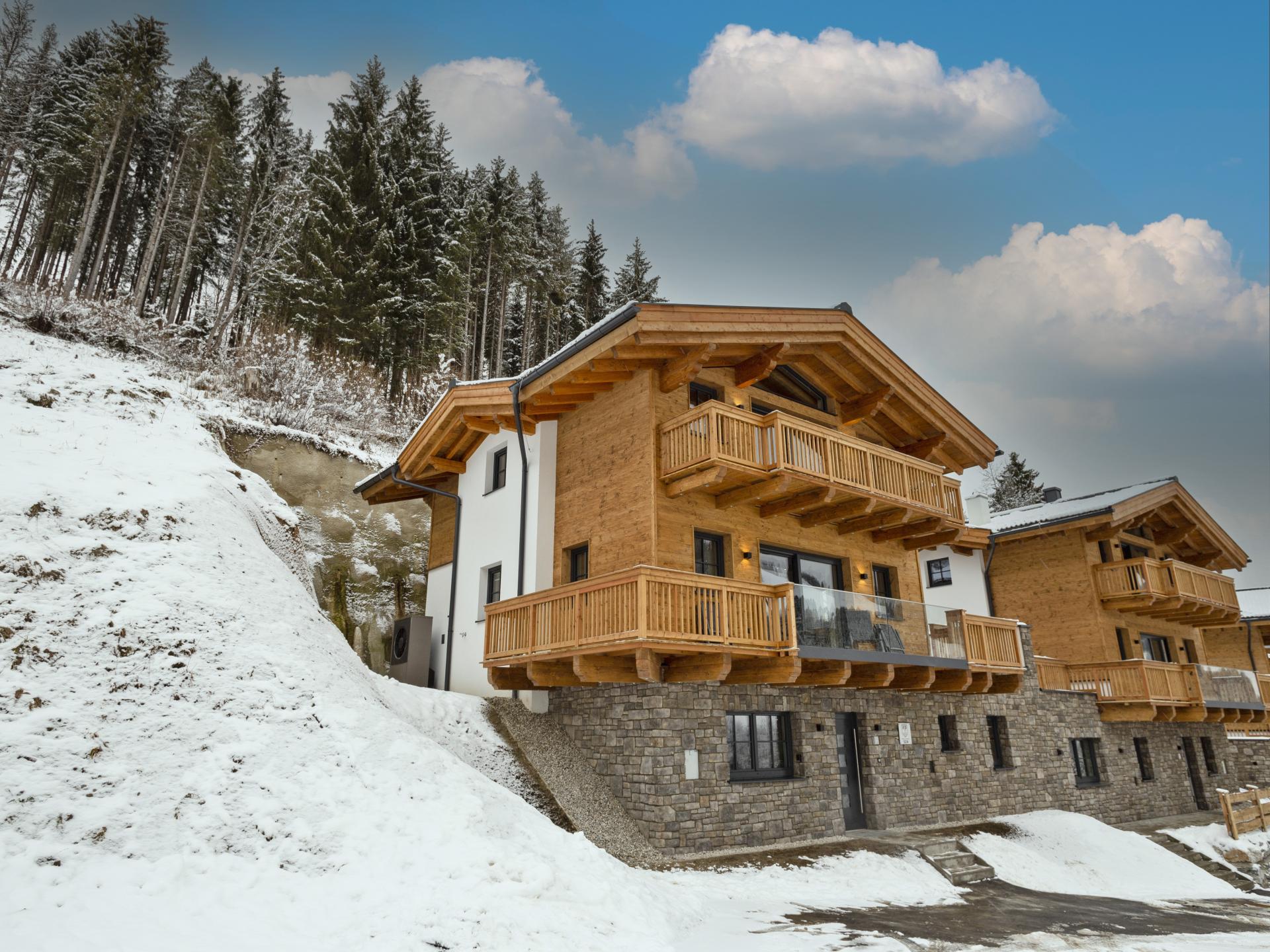 Vrijstaand luxe chalet met sauna en skiberging