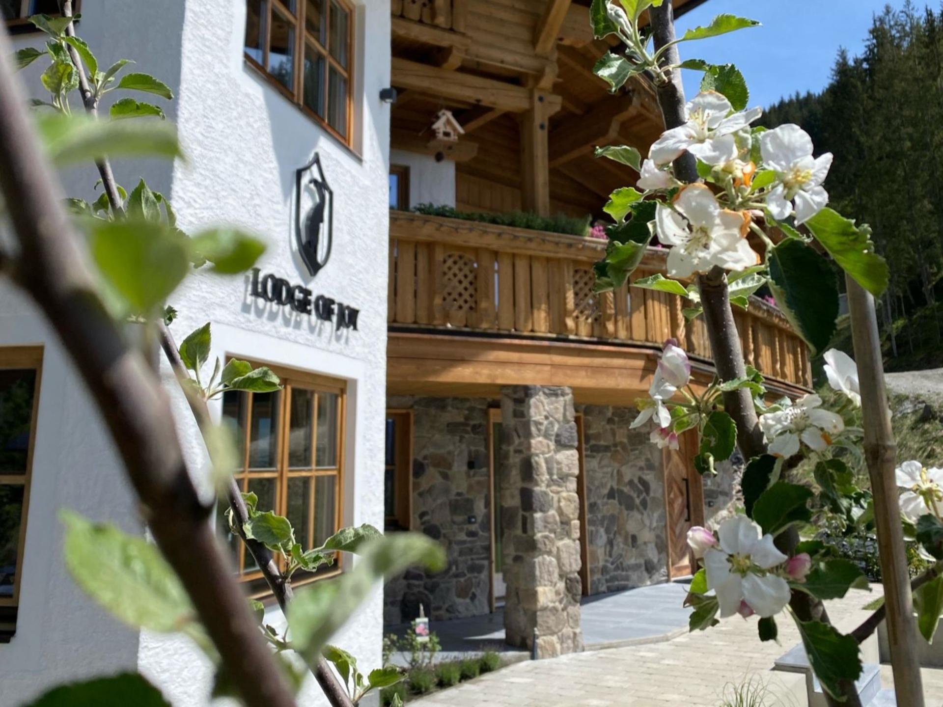 Luxe lodge met bergzicht, loungepool & wellness
