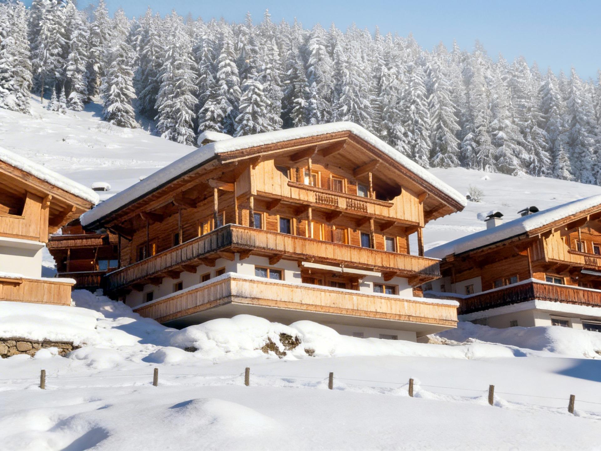 Grote vakantiewoning, 3,5 km van de skilift