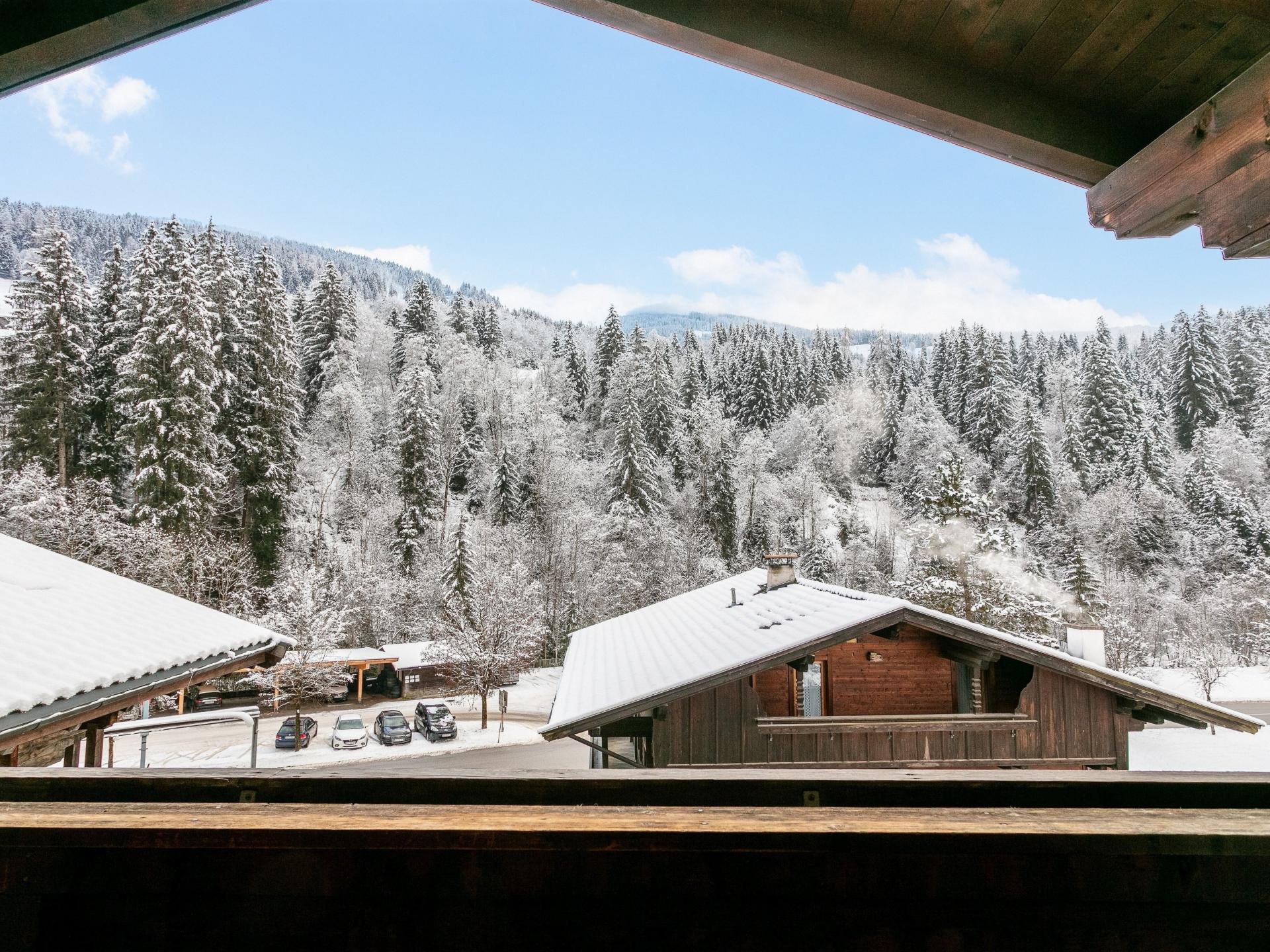 Knus appartement bij skilift
