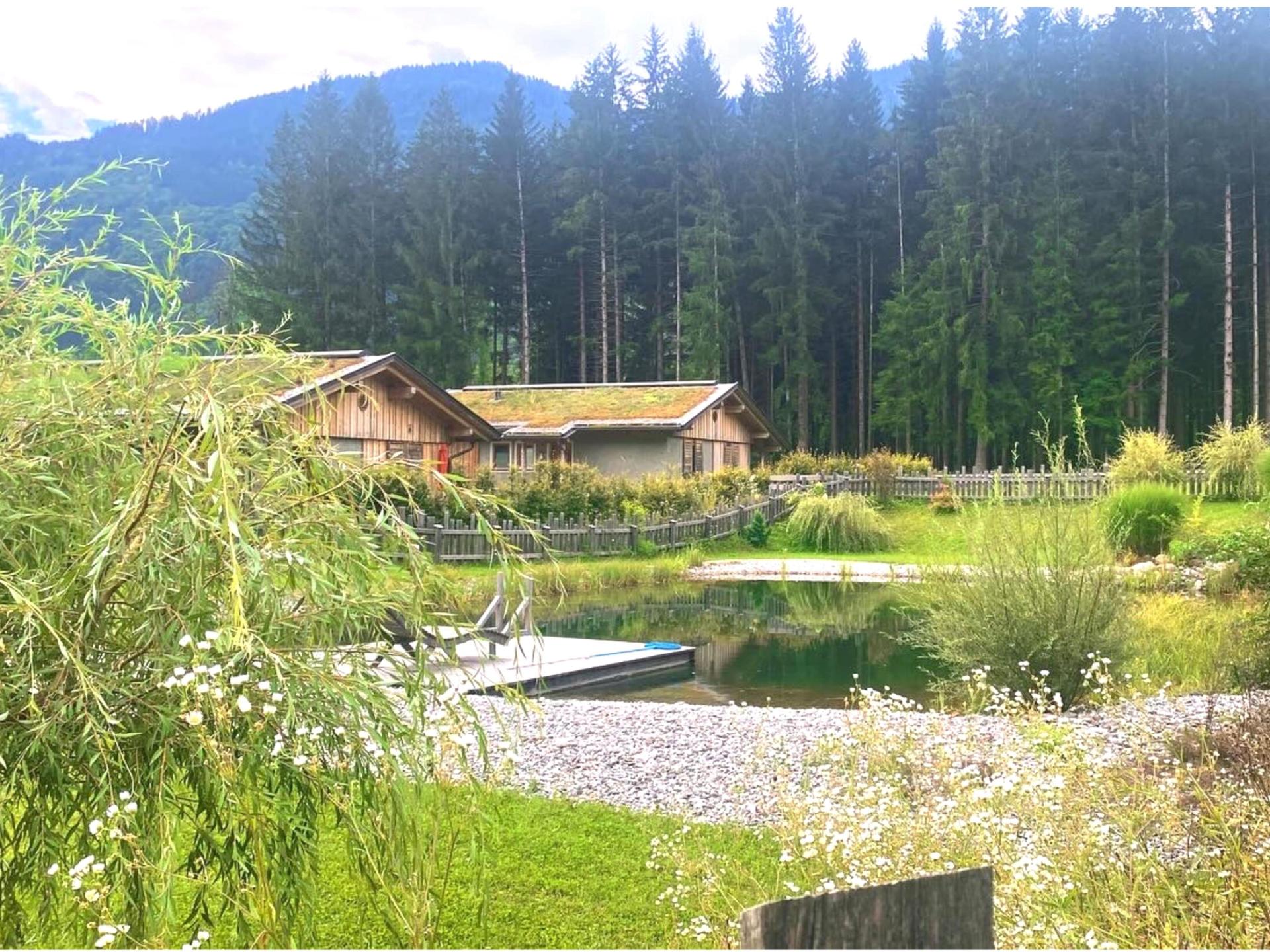 Chalet met sauna voor natuurvakantie in dorpje