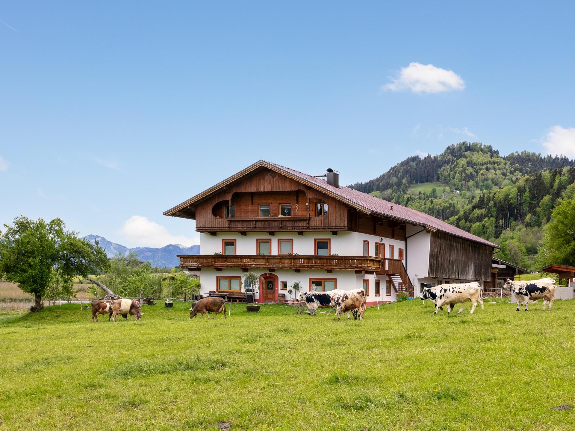 Alpenloft op de boerderij, nabij de Walchsee