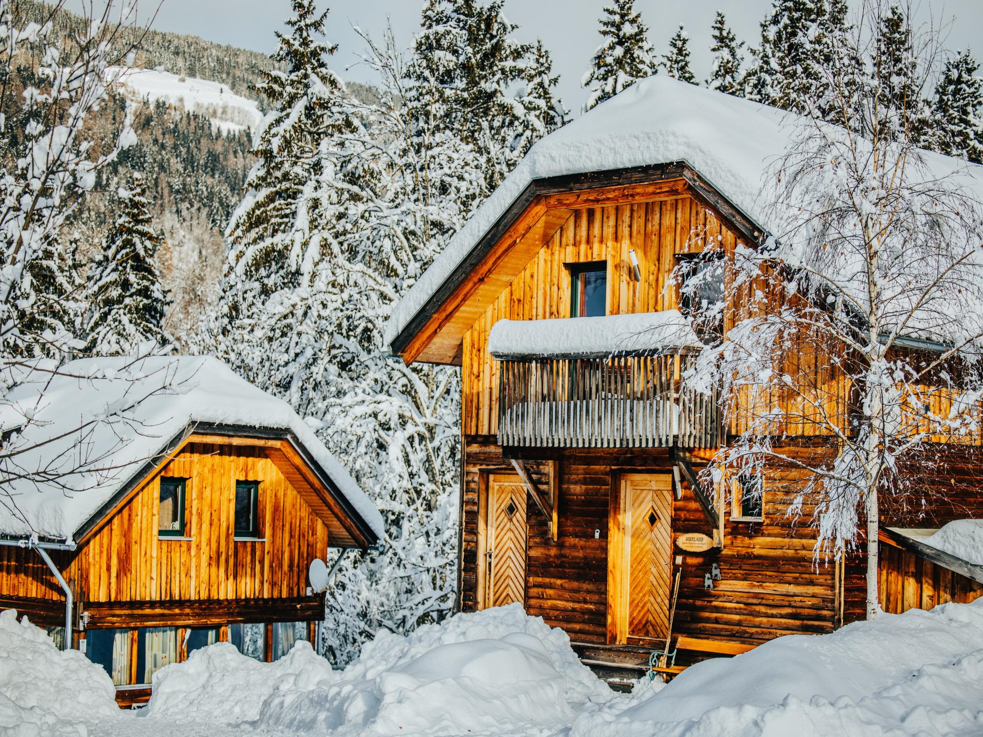 Vakantiehuis met sauna vlakbij Kreischberg