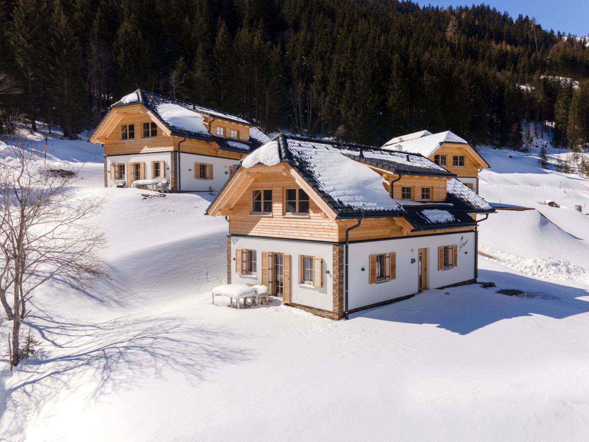 Vrijstaand chalet met wellness bij de skilift