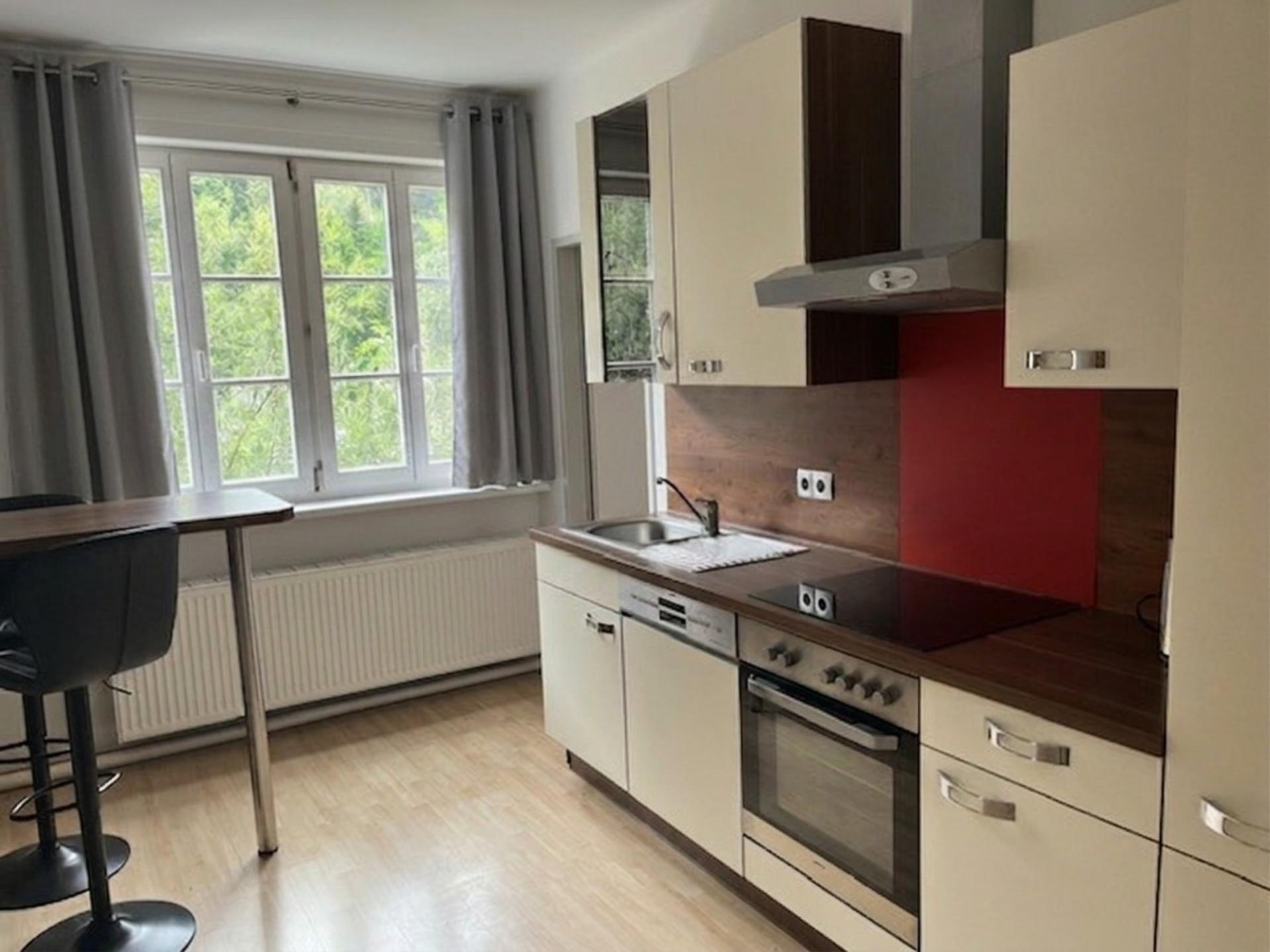 Ruim appartement met dakterras bij skigebieden