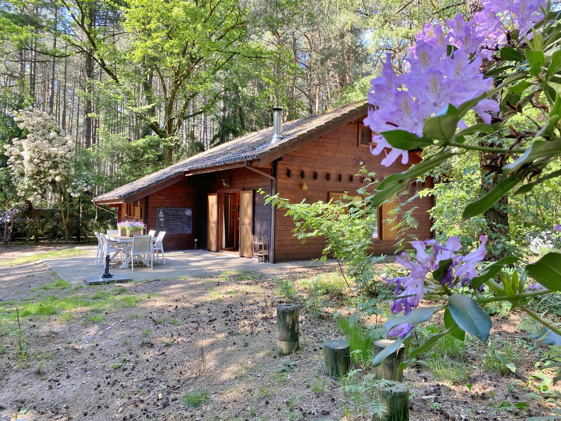 Kindvriendelijk chalet midden in de bossen