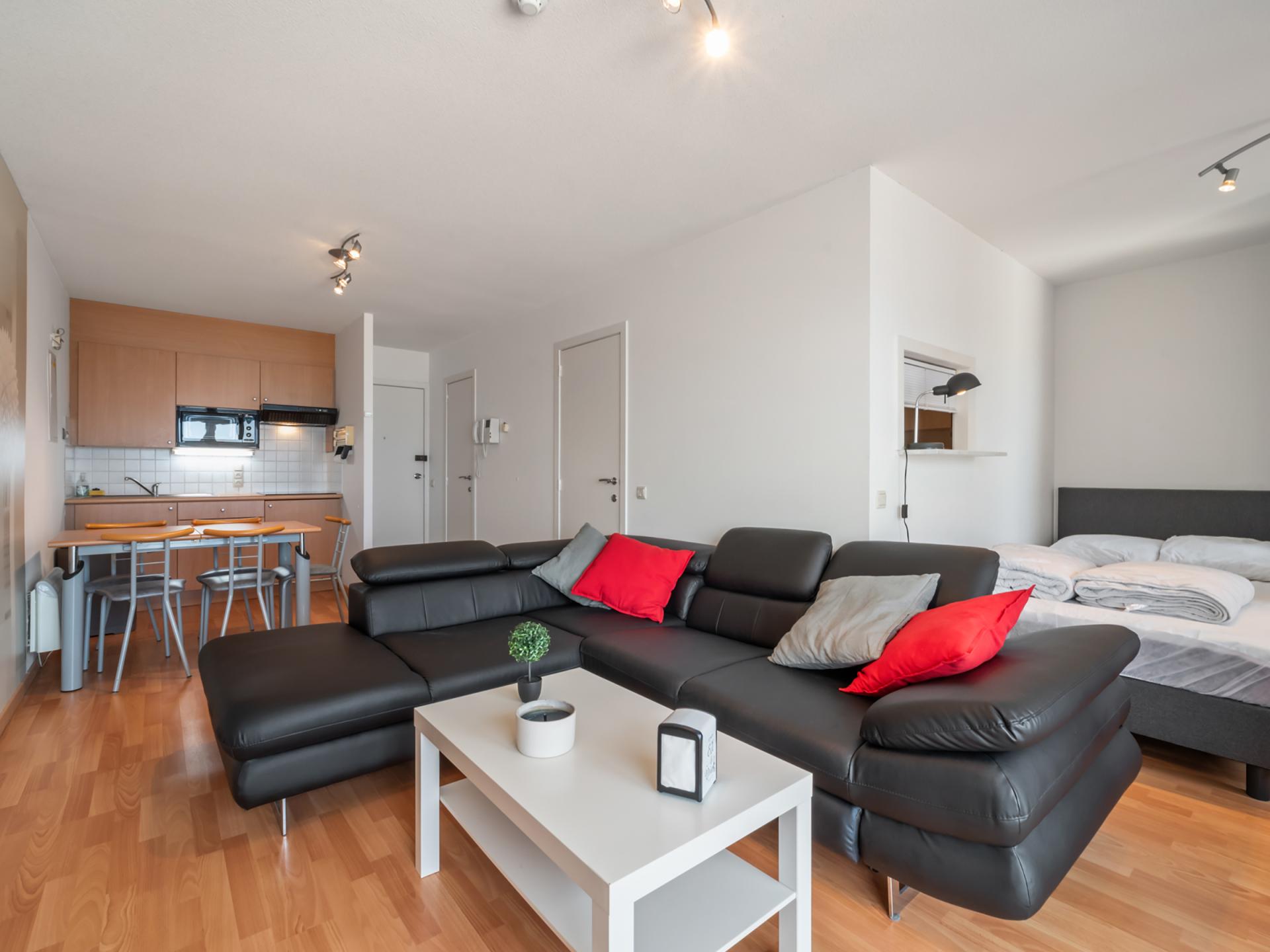 1-slaapkamer appartement met zeezicht en parking