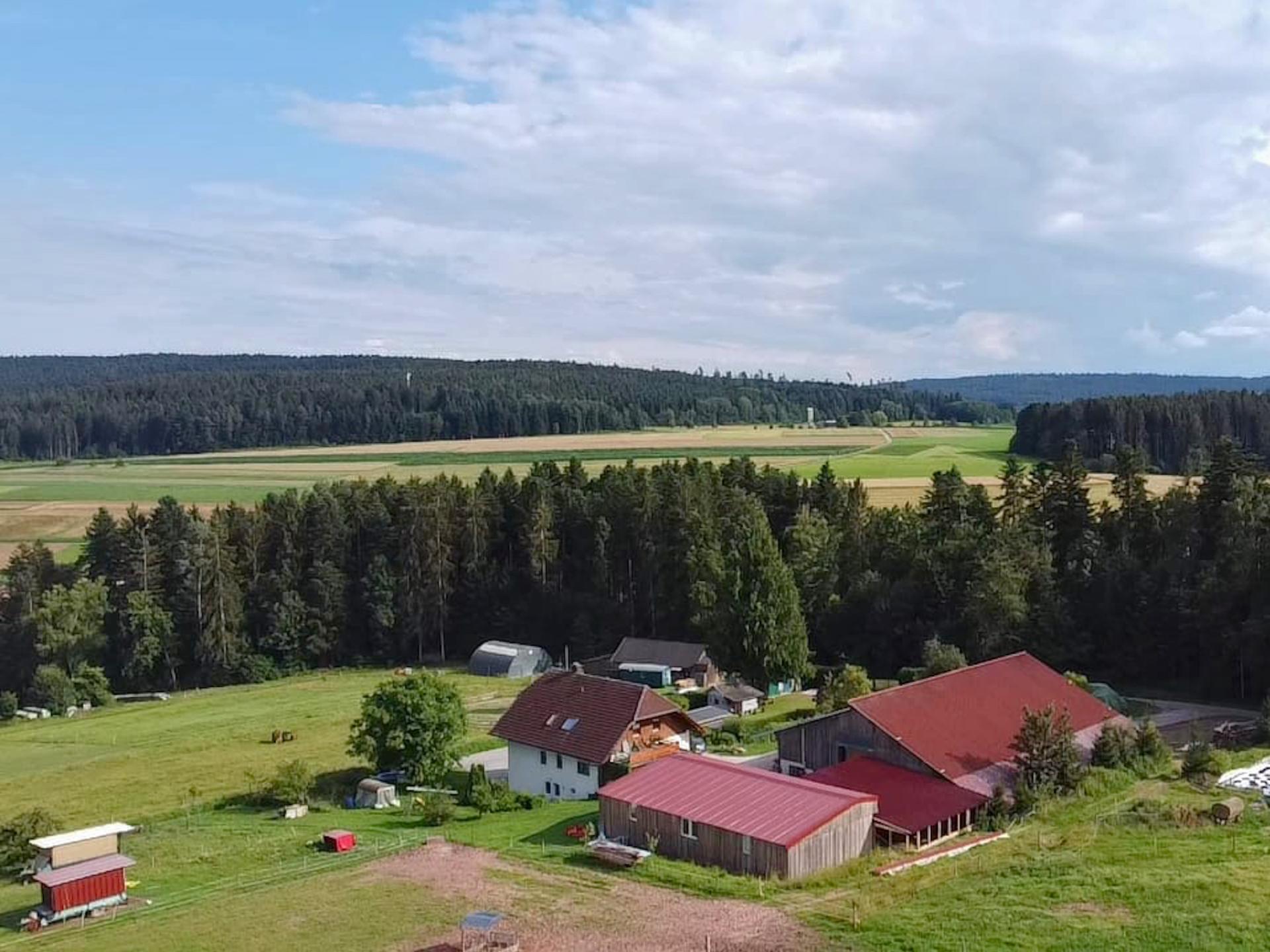 Vakantiewoning op boerderij in het Zwarte Woud