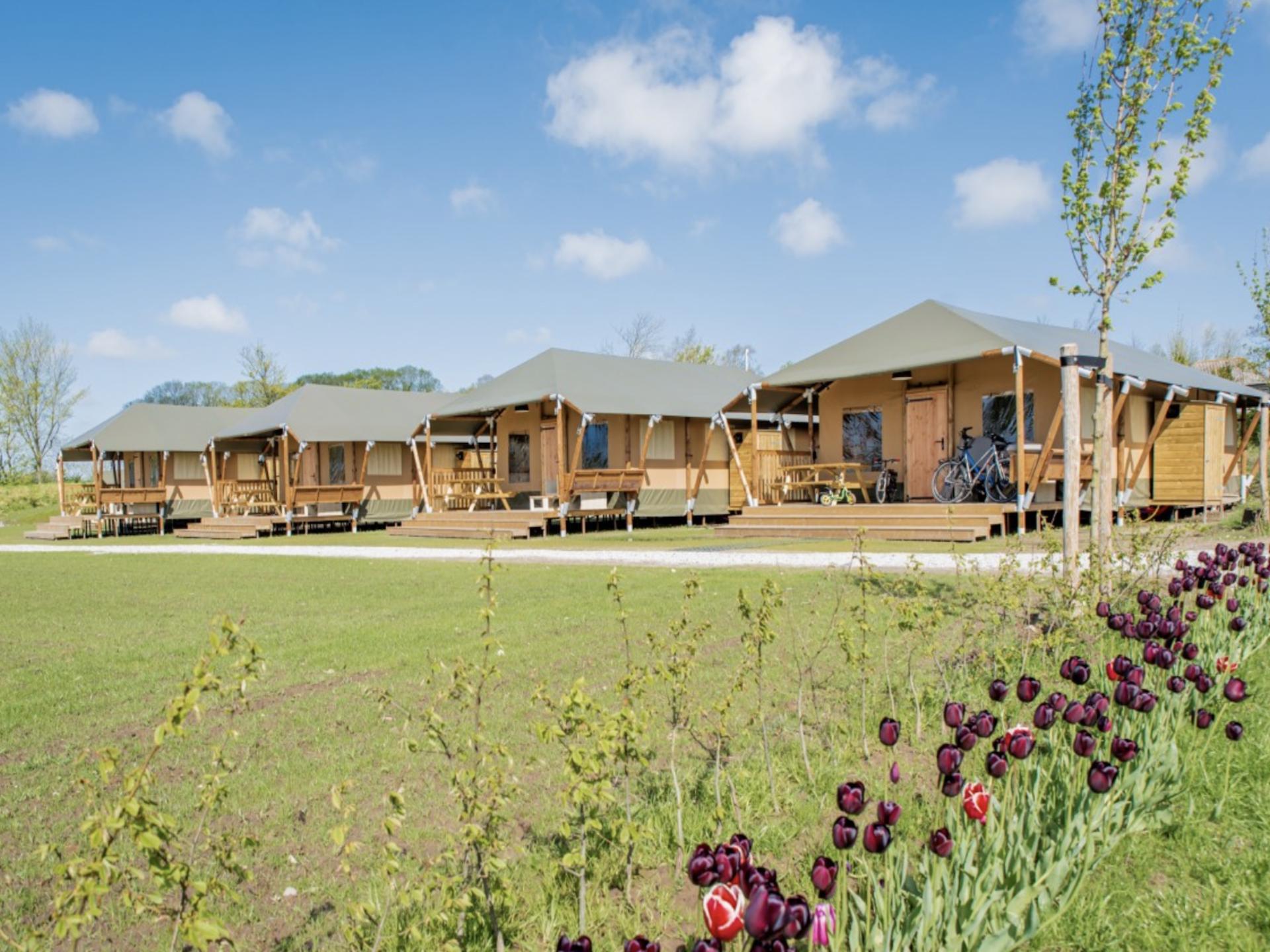 Luxe lodge op een familie camping met zwemstrand
