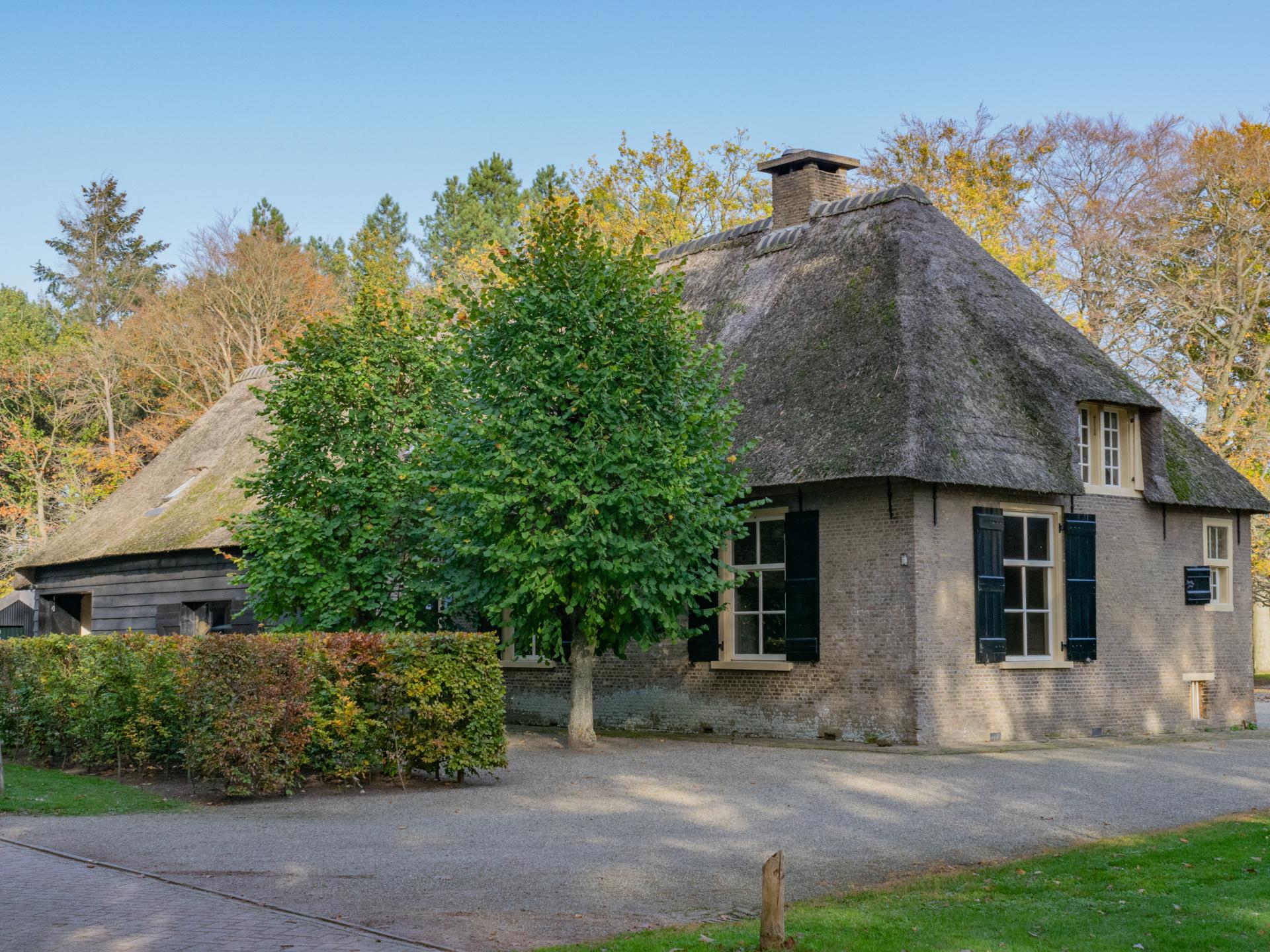 Sfeervolle vakantiewoning in het bos