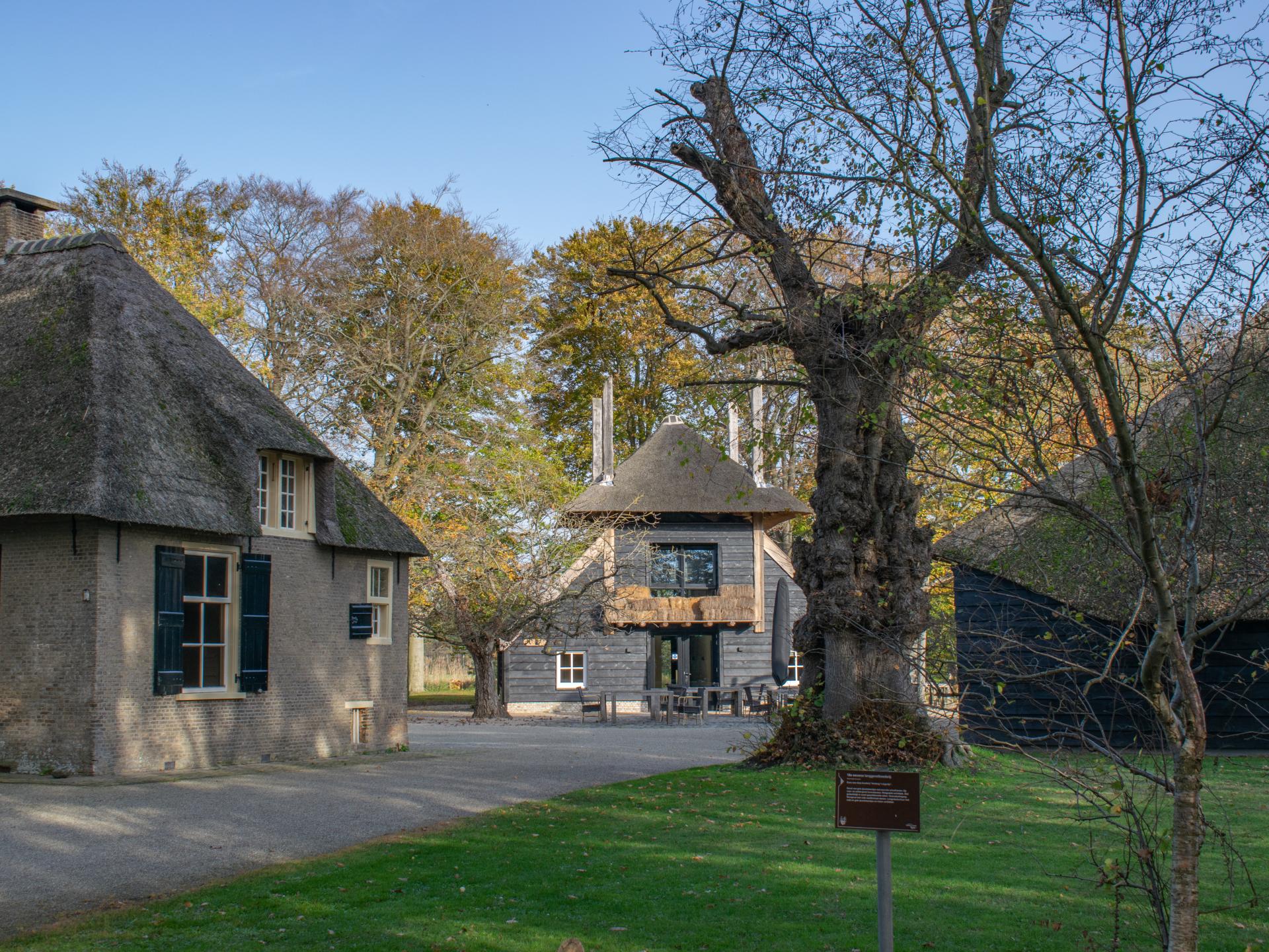 Luxe accommodatie aan de bosrand
