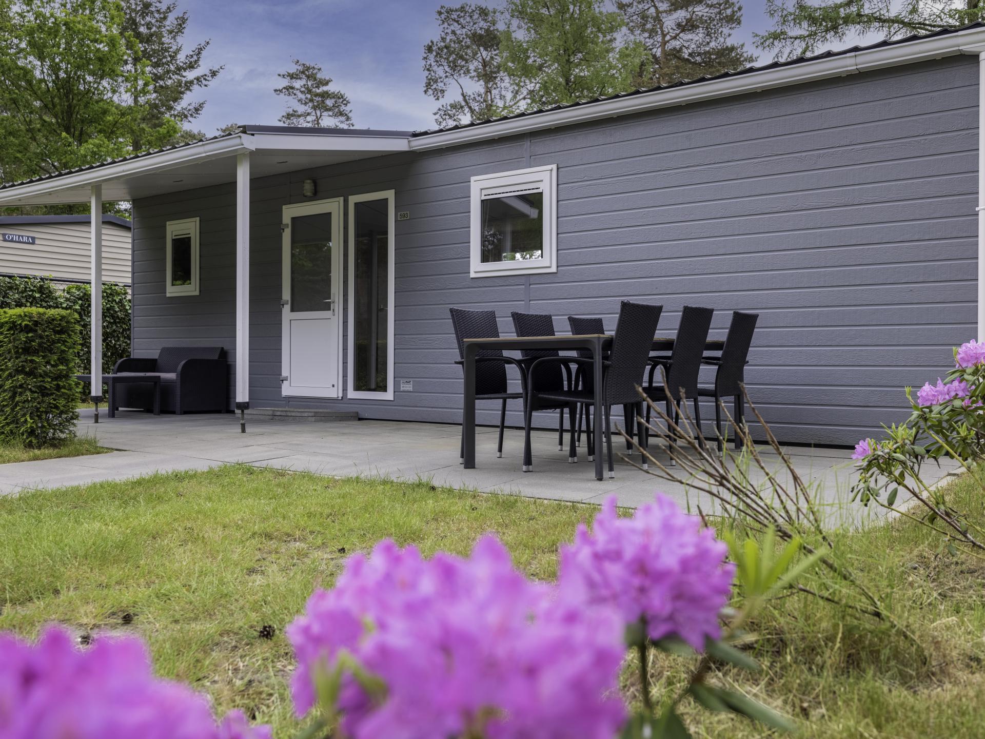 Fijn chalet op leuke bosrijke camping met zwembad