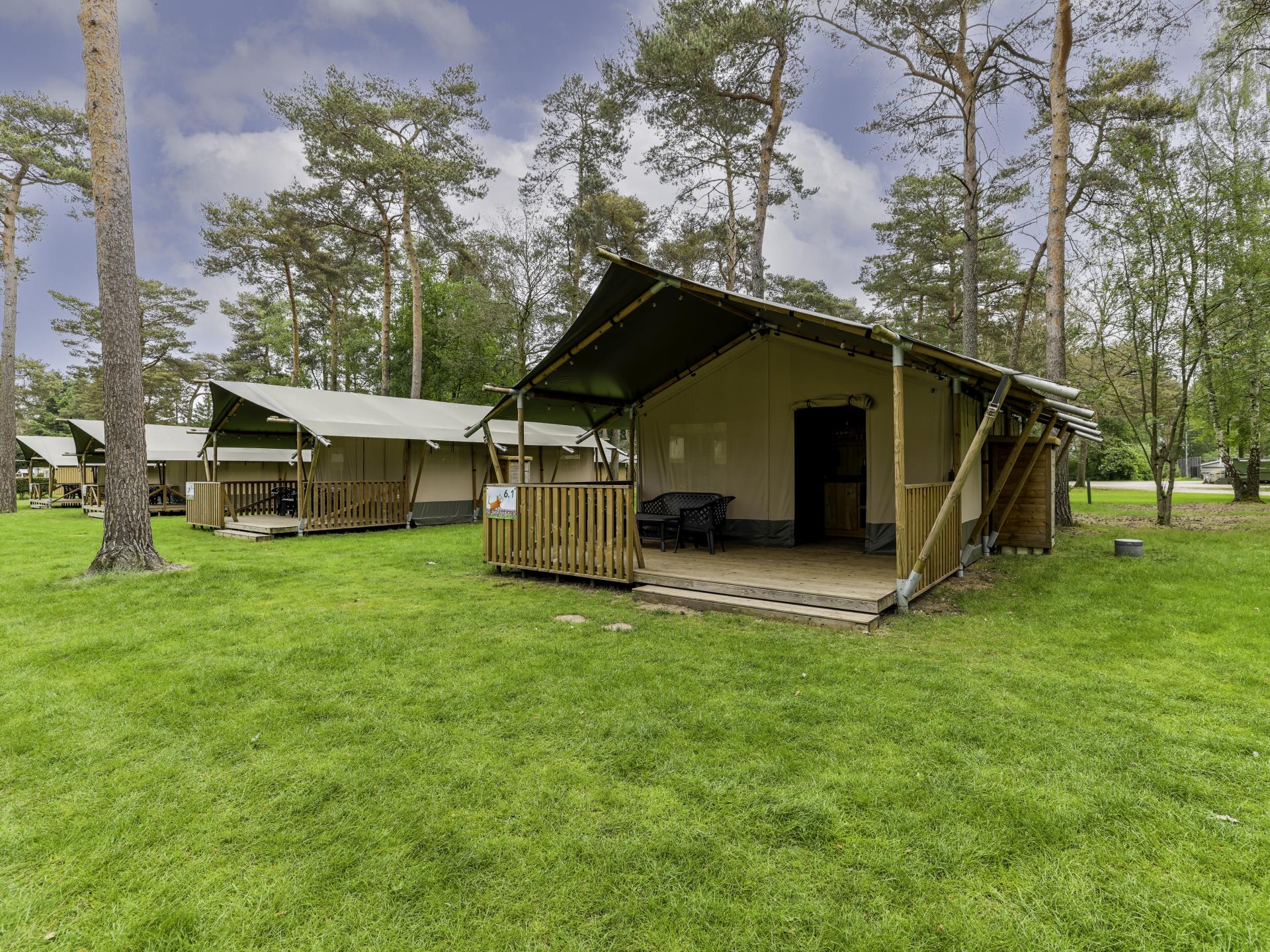 Glamping-tent op bosrijke camping met zwembad