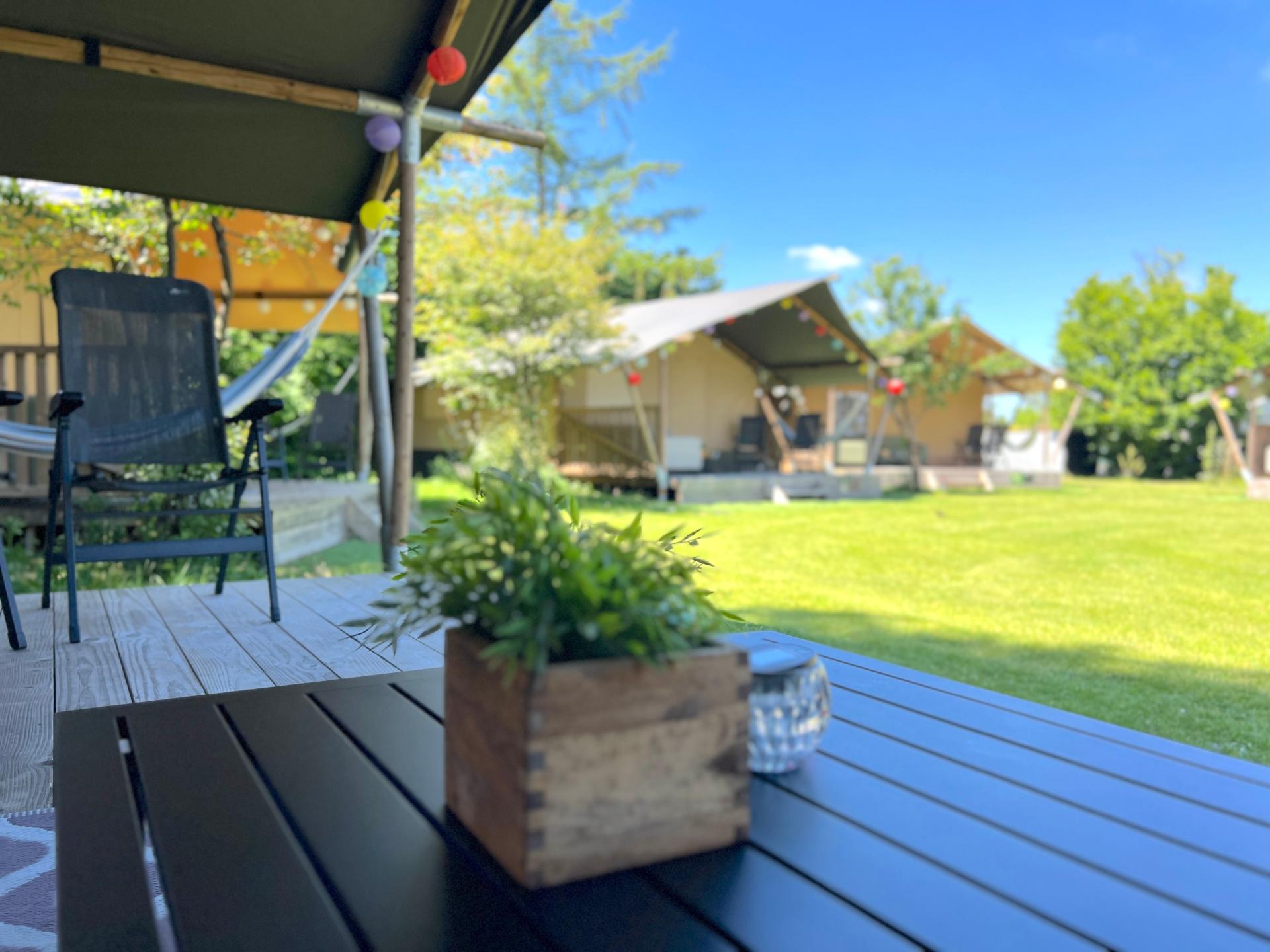 Luxe Glamping Tent op de Veluwe